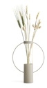 Vase-gravidus-10257_1.jpg