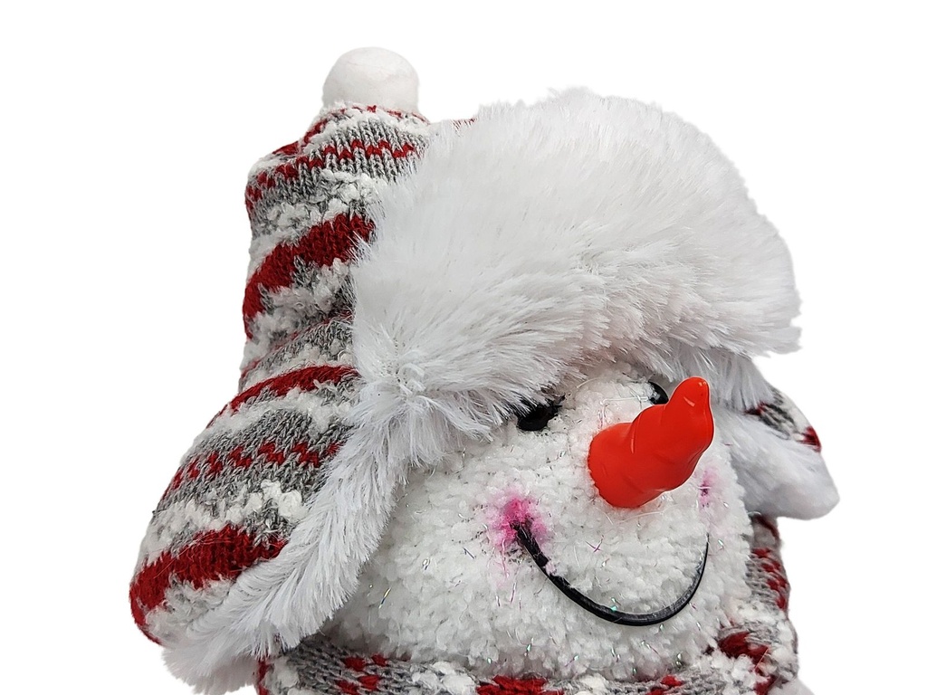 LED-Schneemann-gravidus-10339_7.jpg