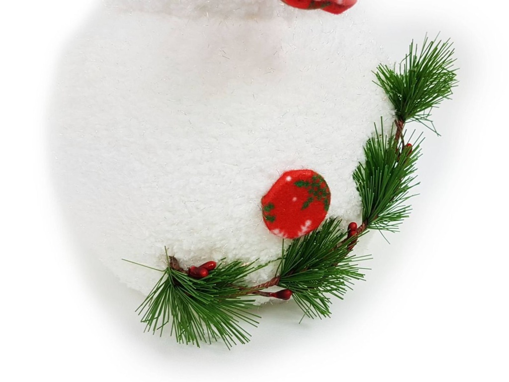 Schneemann--1-gravidus-10476_4.jpg