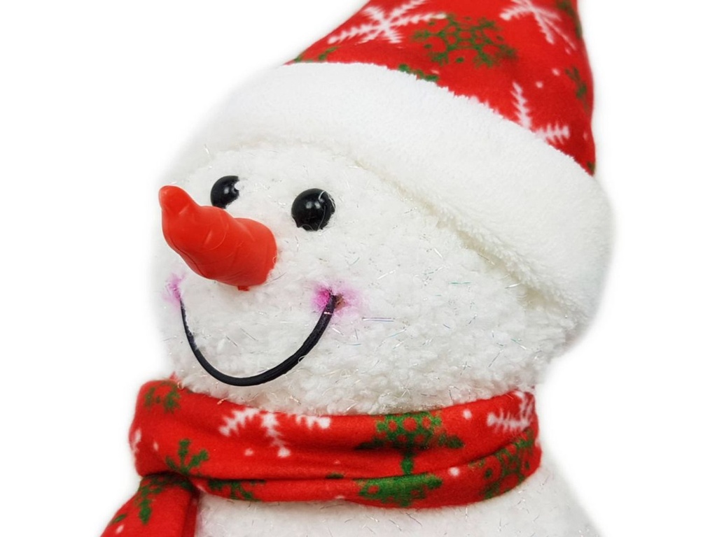 Schneemann--1-gravidus-10476_5.jpg