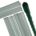 Pflanzstaebe-Pflanzstab-Rankhilfe-Stahl-mit-Kunststoff-Ummantelung-gruen-90-cm-gravidus-11288_10.jpg