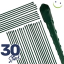Pflanzstaebe-Pflanzstab-Rankhilfe-Stahl-mit-Kunststoff-Ummantelung-gruen-90-cm-gravidus-11288_4.jpg