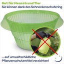 Schneckenschutzring-Set-Salatring-Pflanzenkragen-Kunststoff-ca--20-x-20-cm-gravidus-11290_4.jpg