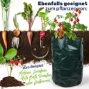 Pflanzsack-fuer-Kartoffeln--Radieschen-usw--in-Gruen-Masse-LxBxH---ca--30-x-43-cm-Pflanzsack--Kartoffel-Pflanzsack--Pflanzsaecke--Pflanzsack-Kartoffeln--Kartoffelsack-zum-pflanzen-gravi_3.jpg