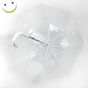 Stockschirm-Regenschirm-Regen--und-Wetterschutz-in-transparent-gravidus-11503_1.jpg