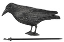 Garten-Ornament-Rabe-mit-Aufhaenger-gravidus-2058.jpg