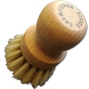 Champignonbuerste-gravidus-5268.jpg