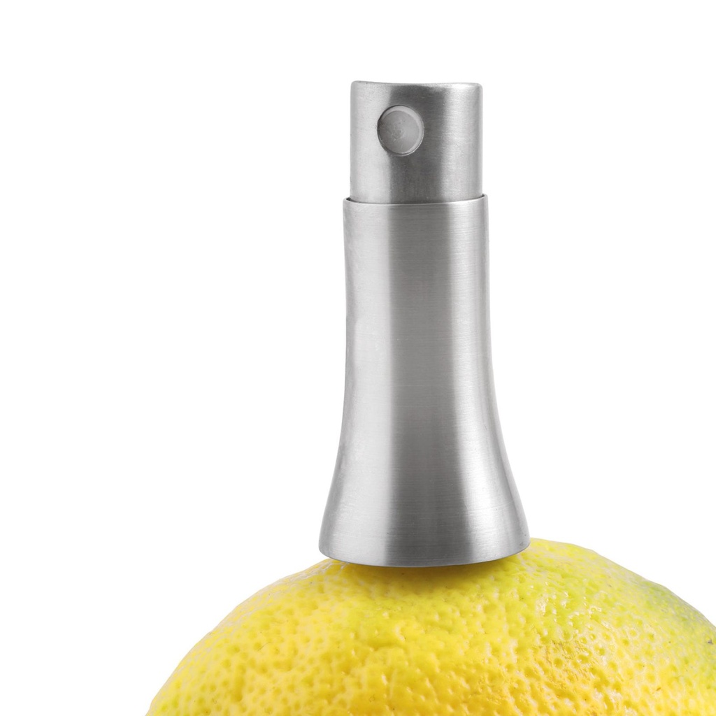 Edelstahl Zitrussprayer