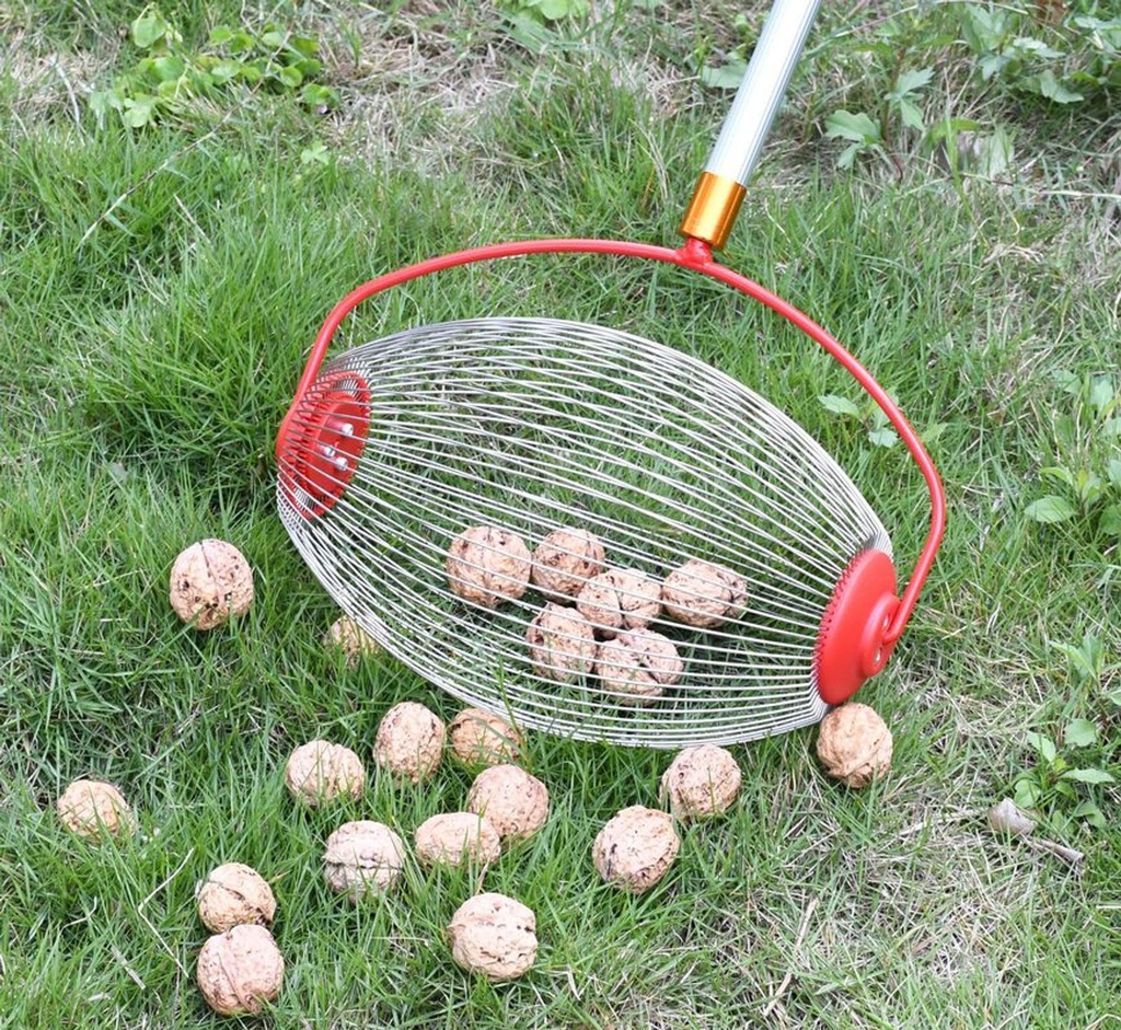 Rollsammler mit Teleskopstiel ausziehbar 52–120 cm Obst Nuss Sammler
